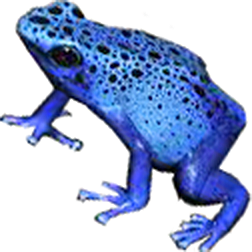Azureus Fine-Spot